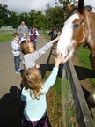2013-09-22-f